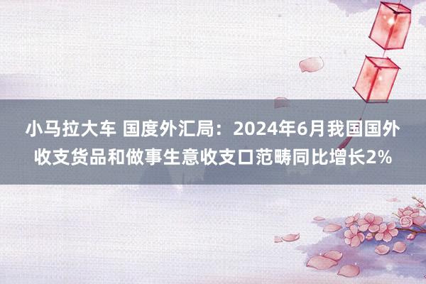 小马拉大车 国度外汇局：2024年6月我国国外收支货品和做事生意收支口范畴同比增长2%