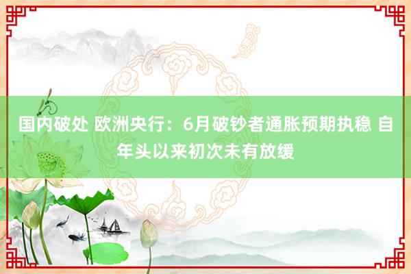 国内破处 欧洲央行：6月破钞者通胀预期执稳 自年头以来初次未有放缓