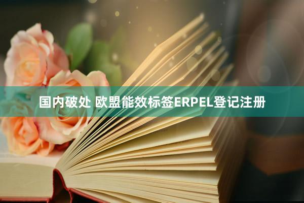 国内破处 欧盟能效标签ERPEL登记注册