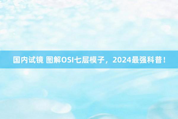 国内试镜 图解OSI七层模子，2024最强科普！