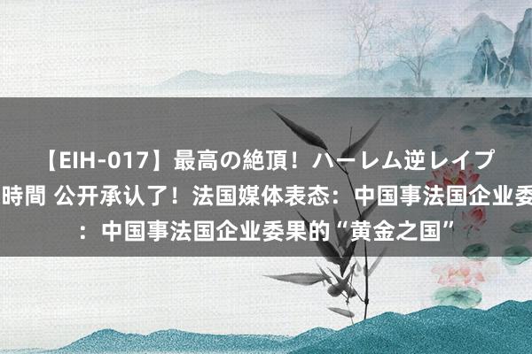 【EIH-017】最高の絶頂！ハーレム逆レイプ乱交スペシャル8時間 公开承认了！法国媒体表态：中国事法国企业委果的“黄金之国”