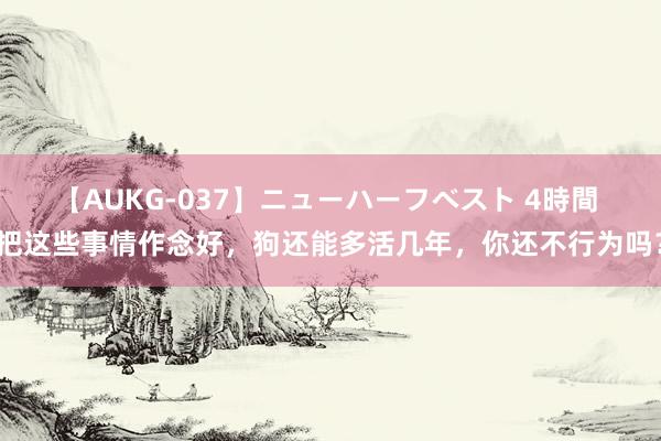 【AUKG-037】ニューハーフベスト 4時間 把这些事情作念好，狗还能多活几年，你还不行为吗？