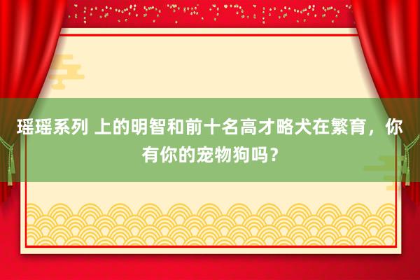 瑶瑶系列 上的明智和前十名高才略犬在繁育，你有你的宠物狗吗？