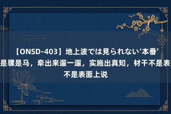 【ONSD-403】地上波では見られない‘本番’4時間 是骡是马，牵出来遛一遛，实施出真知，材干不是表面上说