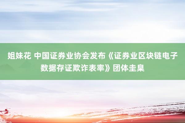 姐妹花 中国证券业协会发布《证券业区块链电子数据存证欺诈表率》团体圭臬