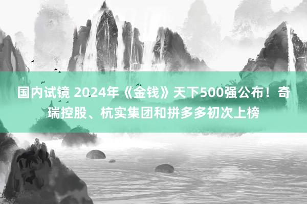 国内试镜 2024年《金钱》天下500强公布！奇瑞控股、杭实集团和拼多多初次上榜