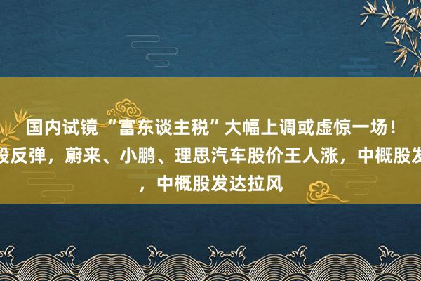 国内试镜 “富东谈主税”大幅上调或虚惊一场！好意思股反弹，蔚来、小鹏、理思汽车股价王人涨，中概股发达拉风