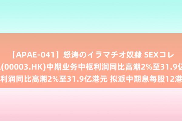 【APAE-041】怒涛のイラマチオ奴隷 SEXコレクション 香港中华煤气(00003.HK)中期业务中枢利润同比高潮2%至31.9亿港元 拟派中期息每股12港仙