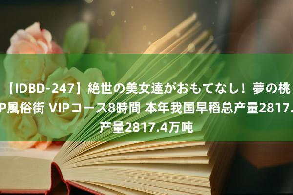 【IDBD-247】絶世の美女達がおもてなし！夢の桃源郷 IP風俗街 VIPコース8時間 本年我国早稻总产量2817.4万吨