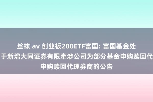 丝袜 av 创业板200ETF富国: 富国基金处罚有限公司对于新增大同证券有限牵涉公司为部分基金申购赎回代理券商的公告