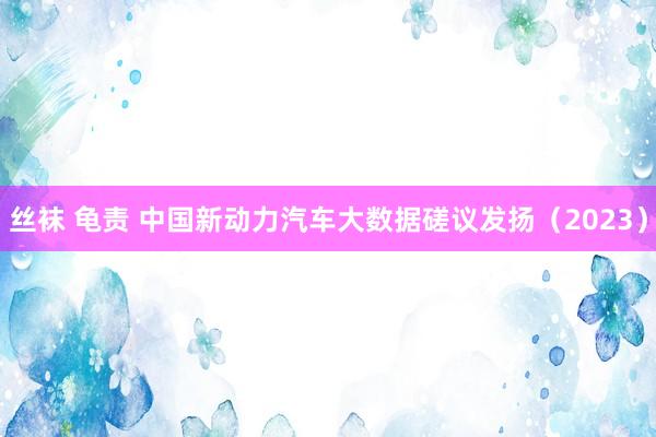 丝袜 龟责 中国新动力汽车大数据磋议发扬（2023）