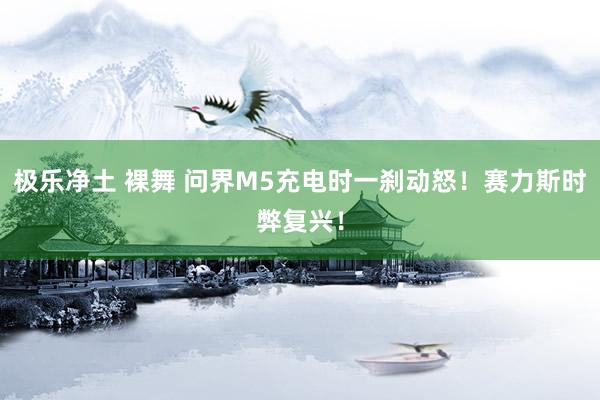 极乐净土 裸舞 问界M5充电时一刹动怒！赛力斯时弊复兴！