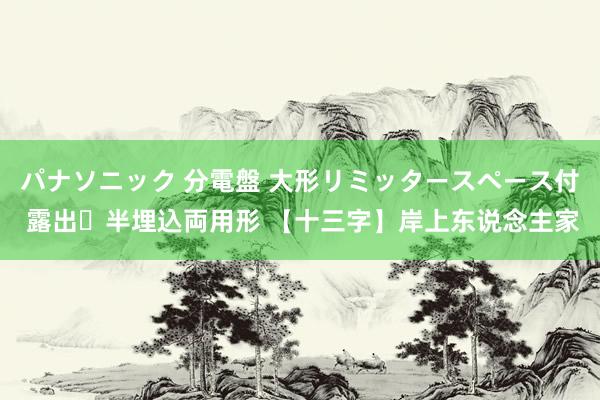 パナソニック 分電盤 大形リミッタースペース付 露出・半埋込両用形 【十三字】岸上东说念主家