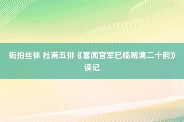 街拍丝袜 杜甫五排《喜闻官军已临贼境二十韵》读记