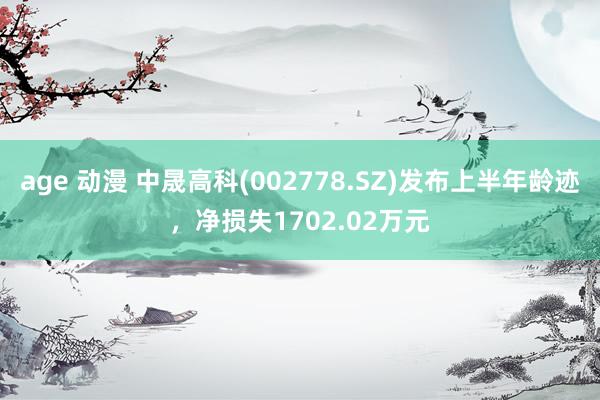 age 动漫 中晟高科(002778.SZ)发布上半年龄迹，净损失1702.02万元