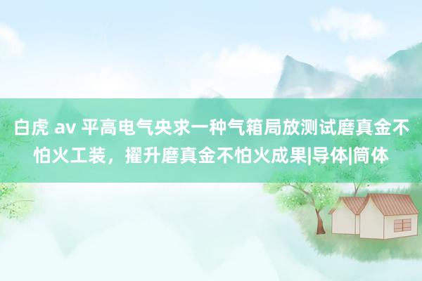 白虎 av 平高电气央求一种气箱局放测试磨真金不怕火工装，擢升磨真金不怕火成果|导体|筒体