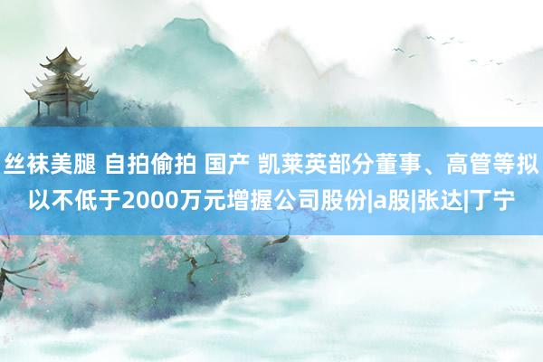 丝袜美腿 自拍偷拍 国产 凯莱英部分董事、高管等拟以不低于2000万元增握公司股份|a股|张达|丁宁