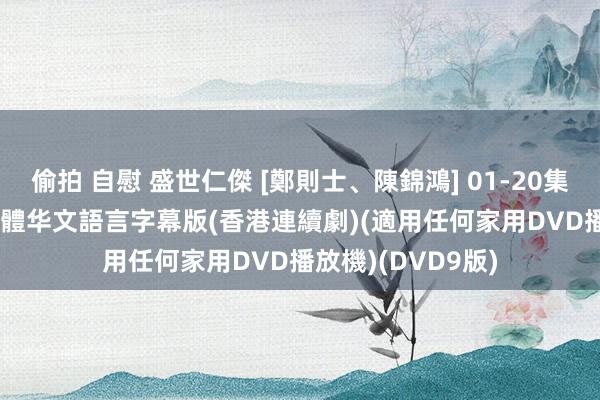 偷拍 自慰 盛世仁傑 [鄭則士、陳錦鴻] 01-20集(全) 粵語發音 繁體华文語言字幕版(香港連續劇)(適用任何家用DVD播放機)(DVD9版)